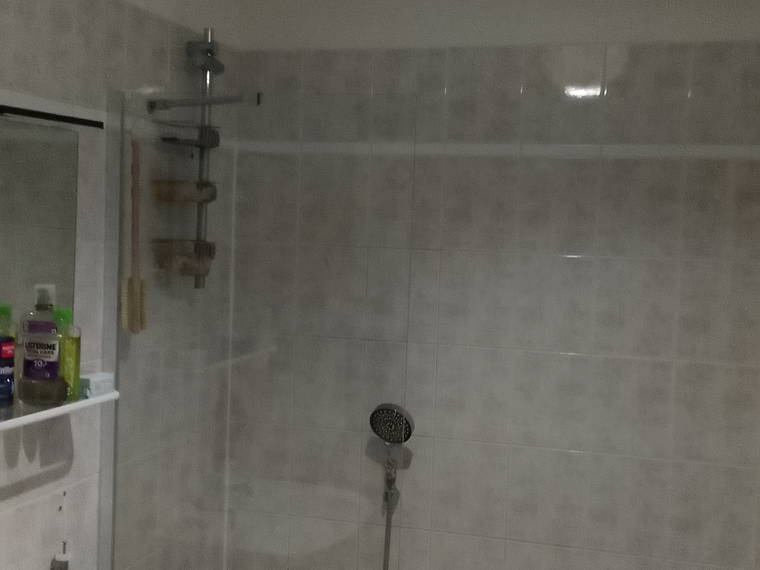 Gastfamilie Metz 654107