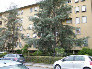 Colocation Pisa 185672-7