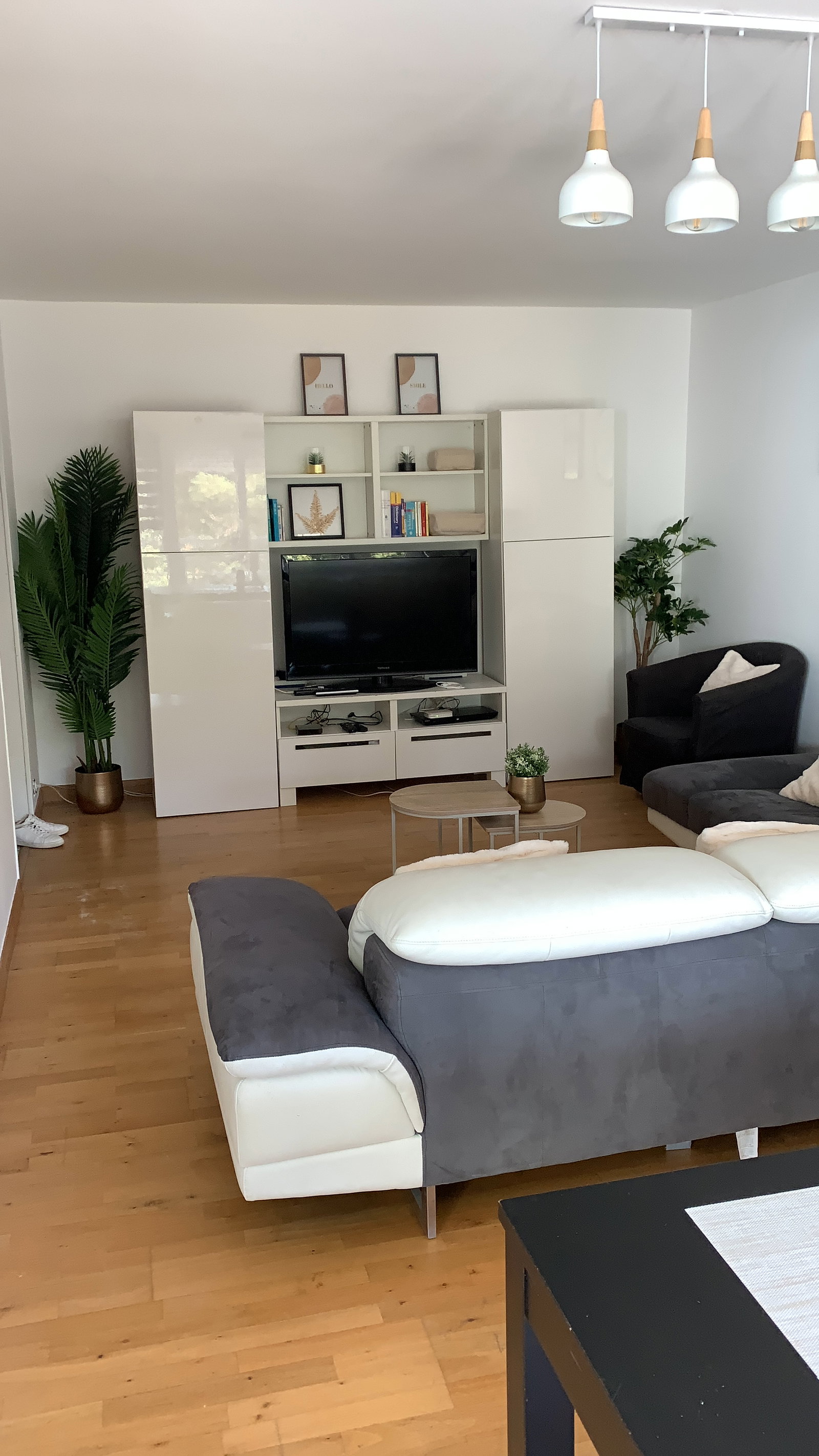 Colocation Saint-Genis-Pouilly 676707