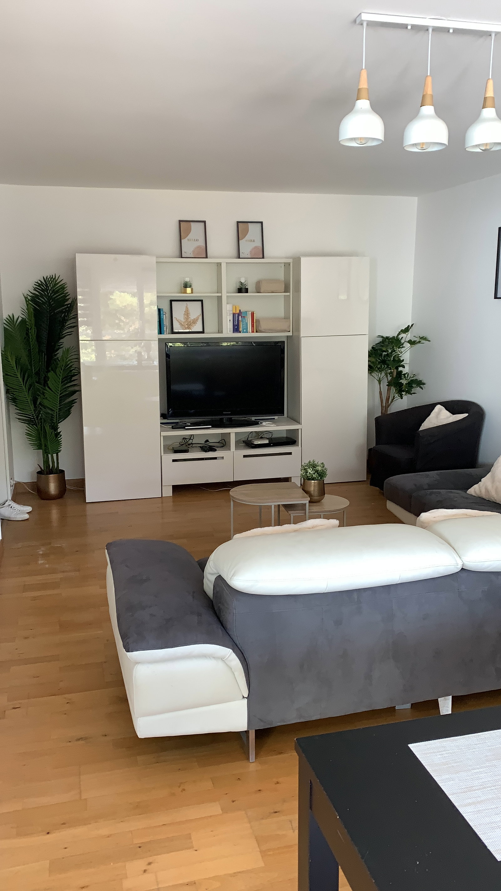 Colocation Saint-Genis-Pouilly 676707