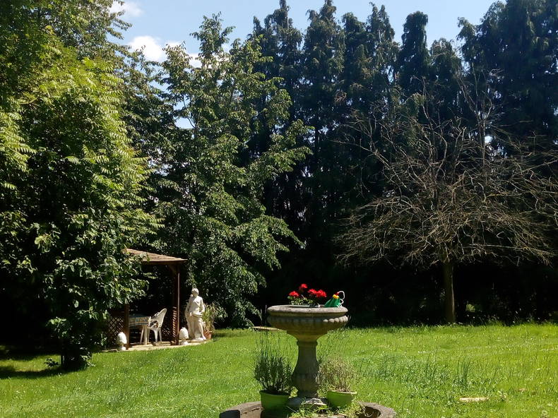 Gastfamilie Saint-Lô 66174-3