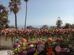 Coliving Sanremo 223380