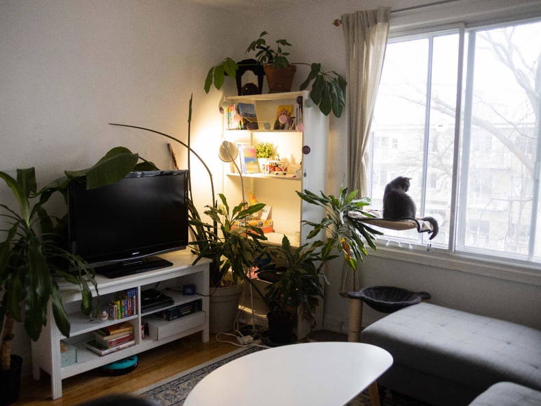 Colocation Montréal 397965-5