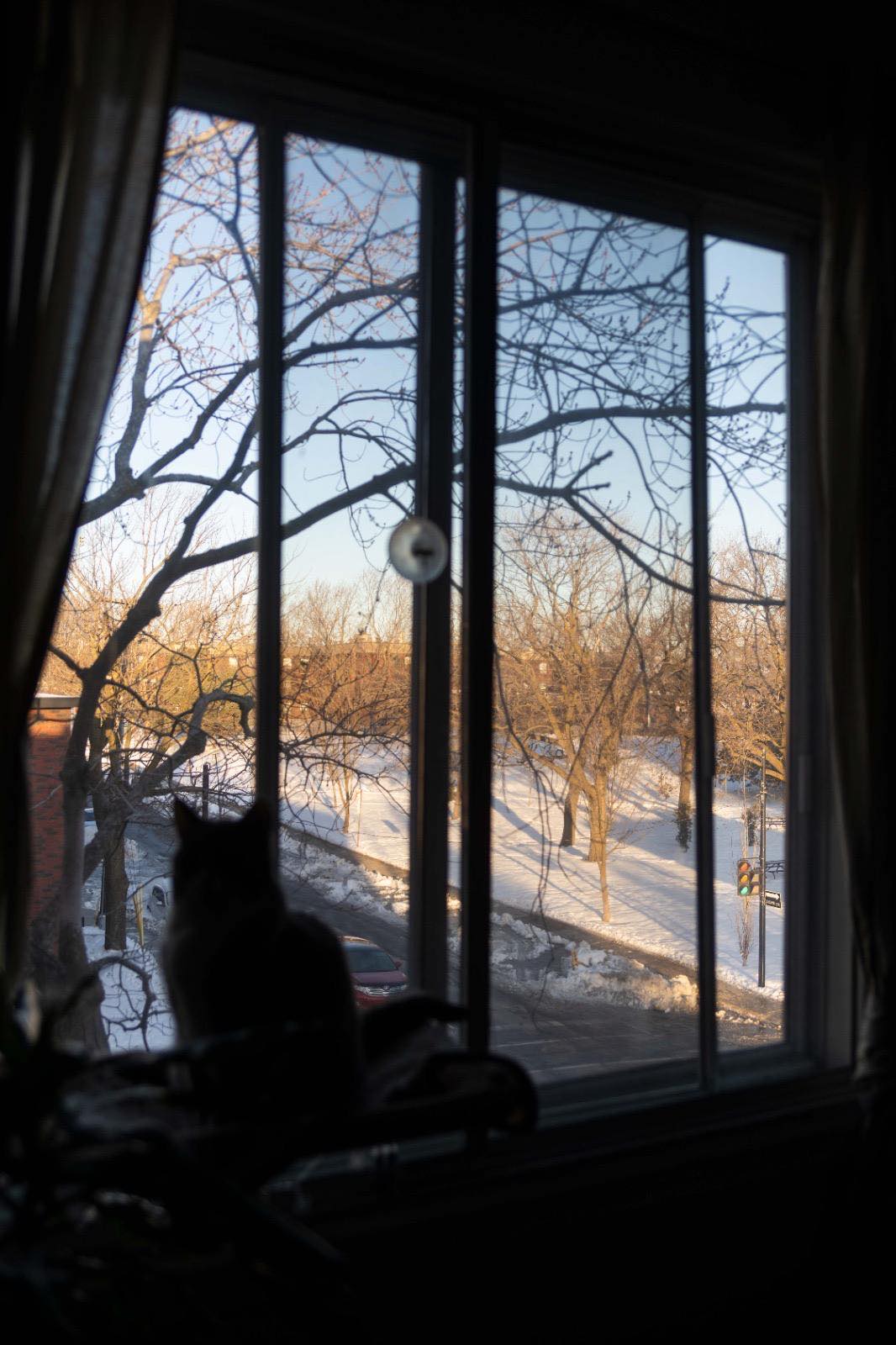 Colocation Montréal 397965