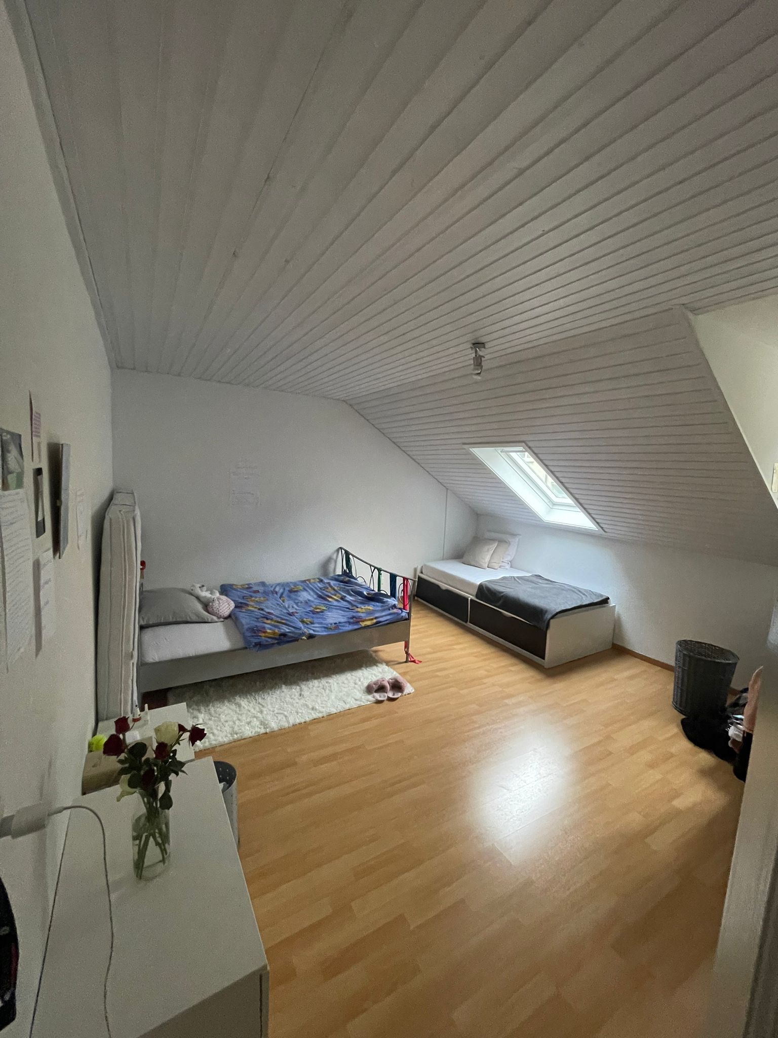 Colocación Fribourg 633458