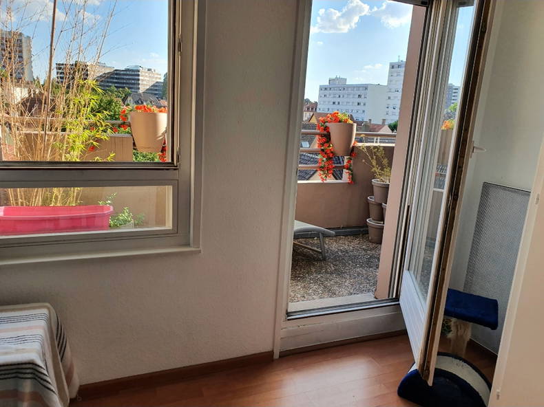 Chambre Chez L'habitant Schiltigheim 247443-2