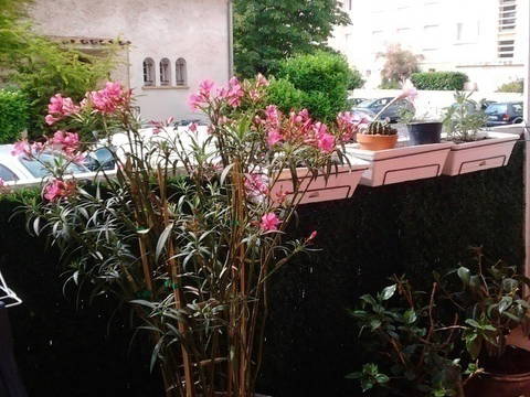 Chambre Chez L'habitant Montpellier 45109-4