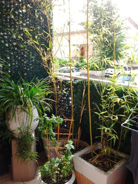 Chambre Chez L'habitant Montpellier 45109