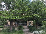 Gastfamilie Montagnac 287514