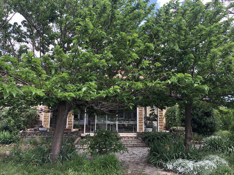 Homestay Montagnac 287514-3