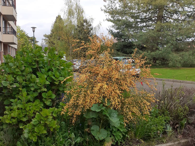 Quedarse En Casa Bois-Guillaume 507946-2