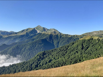 Chambre À Louer Neyruz 450993