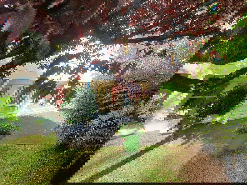 Colocation Gradignan 529249-4