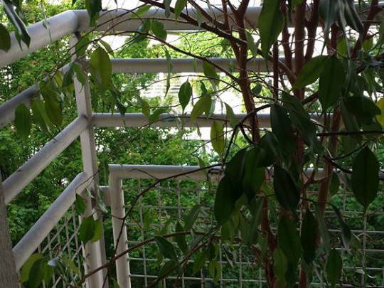 Toda La Casa Paris 75416-4