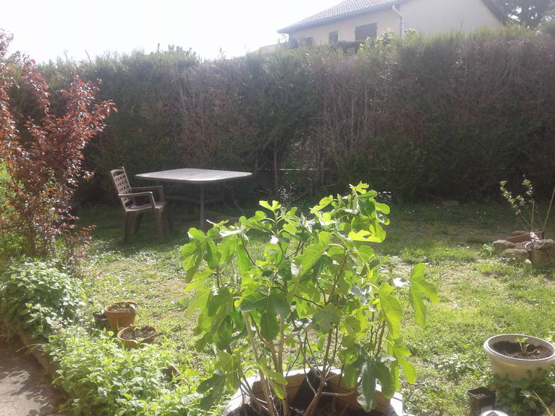 Quedarse En Casa Pont-Évêque 261492-5