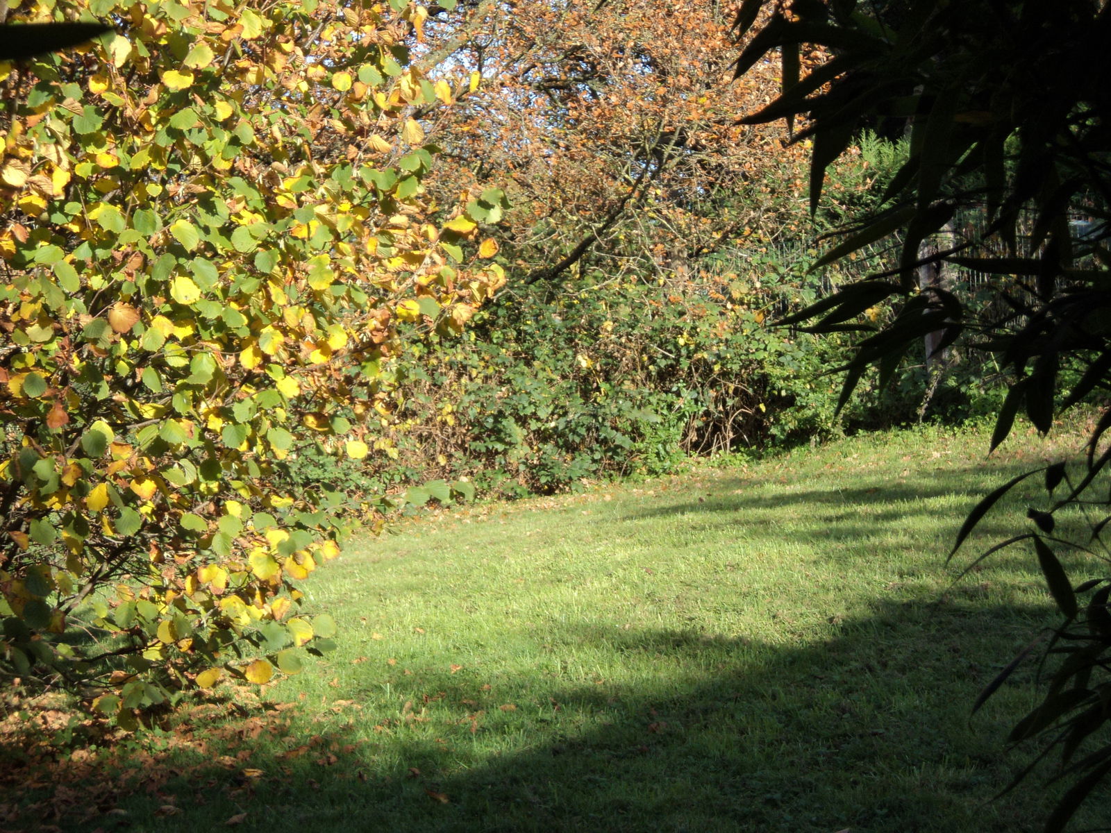 Kotimajoitus Ittre 105400