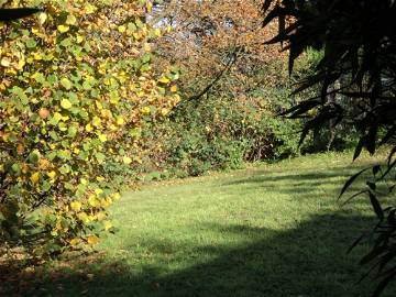 Chambre À Louer Ittre 105400