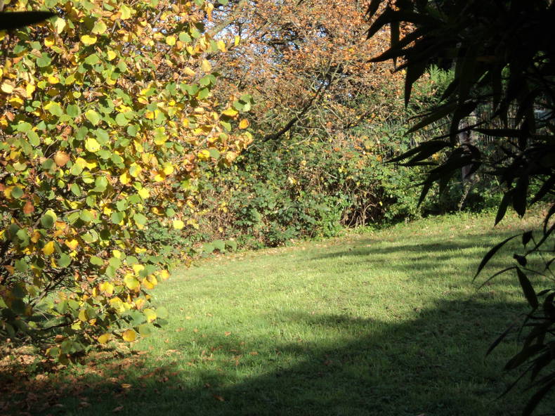 Homestay Ittre 105400-3