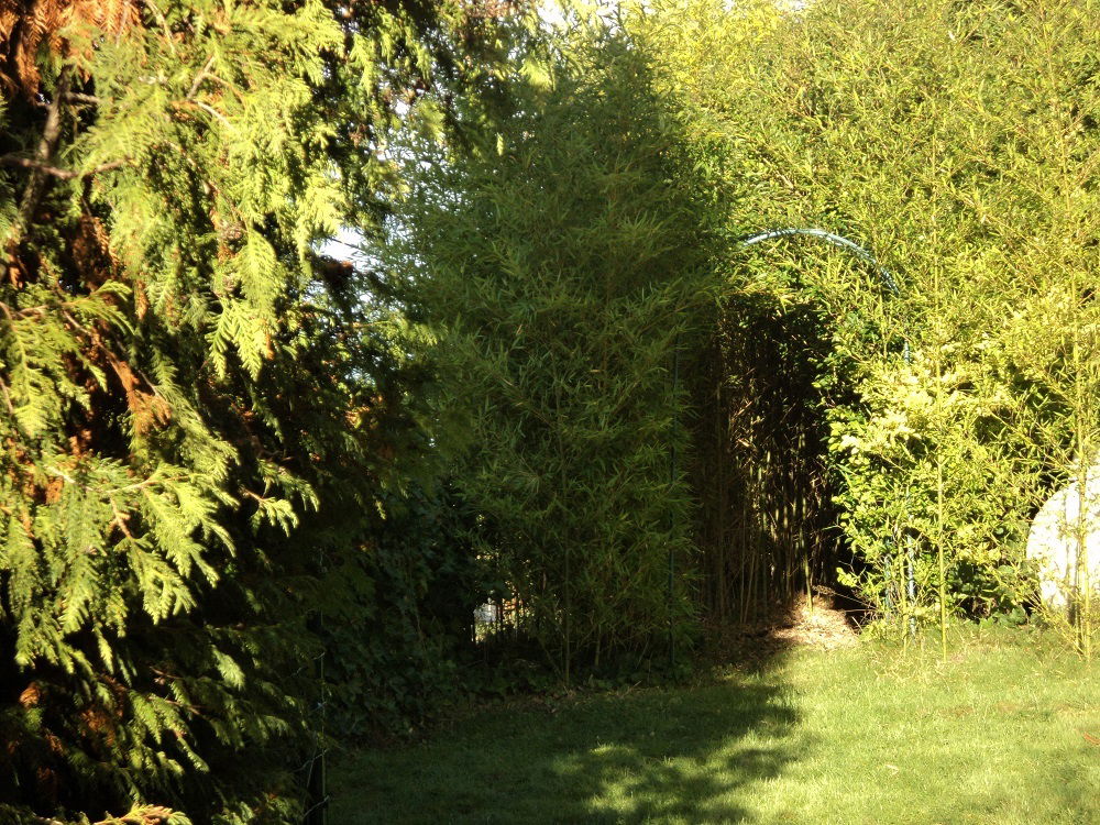 Kotimajoitus Ittre 105400