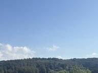 Quedarse En Casa Marseille 307708-4