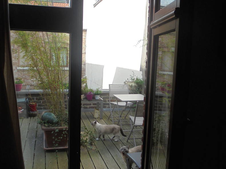 Hemvistelse Liège 115026-3