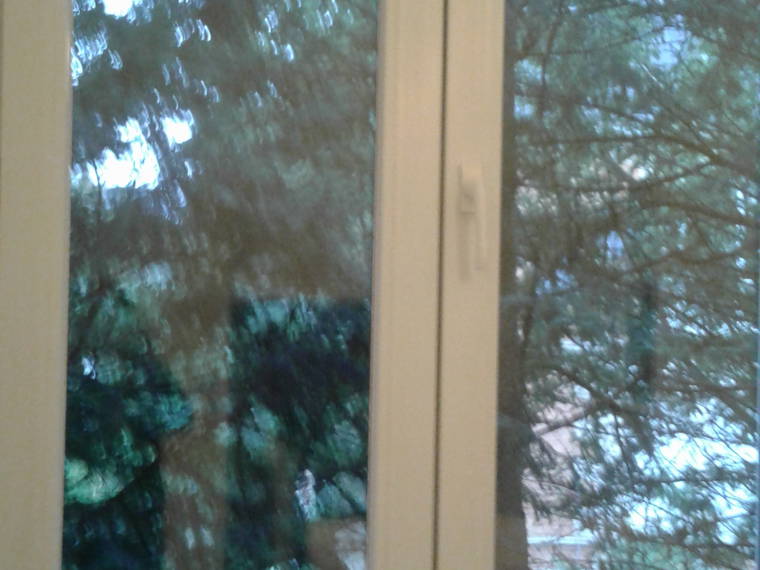Homestay Bruxelles 243983