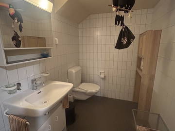 Chambre chez l'habitant à louer à Nyon - photo 4 : salle de bain-4