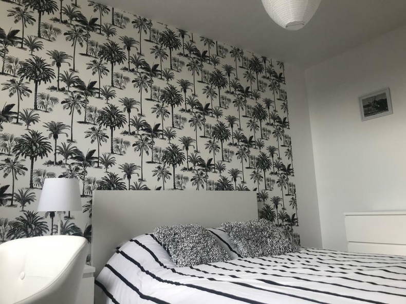 Kolokasie Bron 243751-1