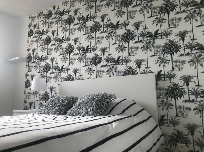 Kolokasie Bron 243751-2