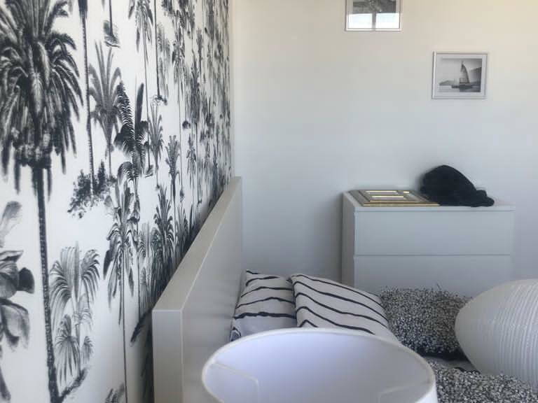 Kolokasie Bron 243751-3