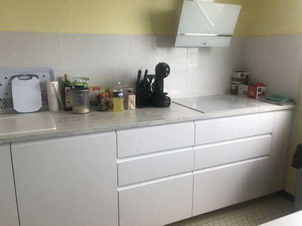 Kolokasie Bron 243751-5