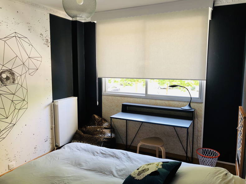 Kolokasie Bron 244429-4