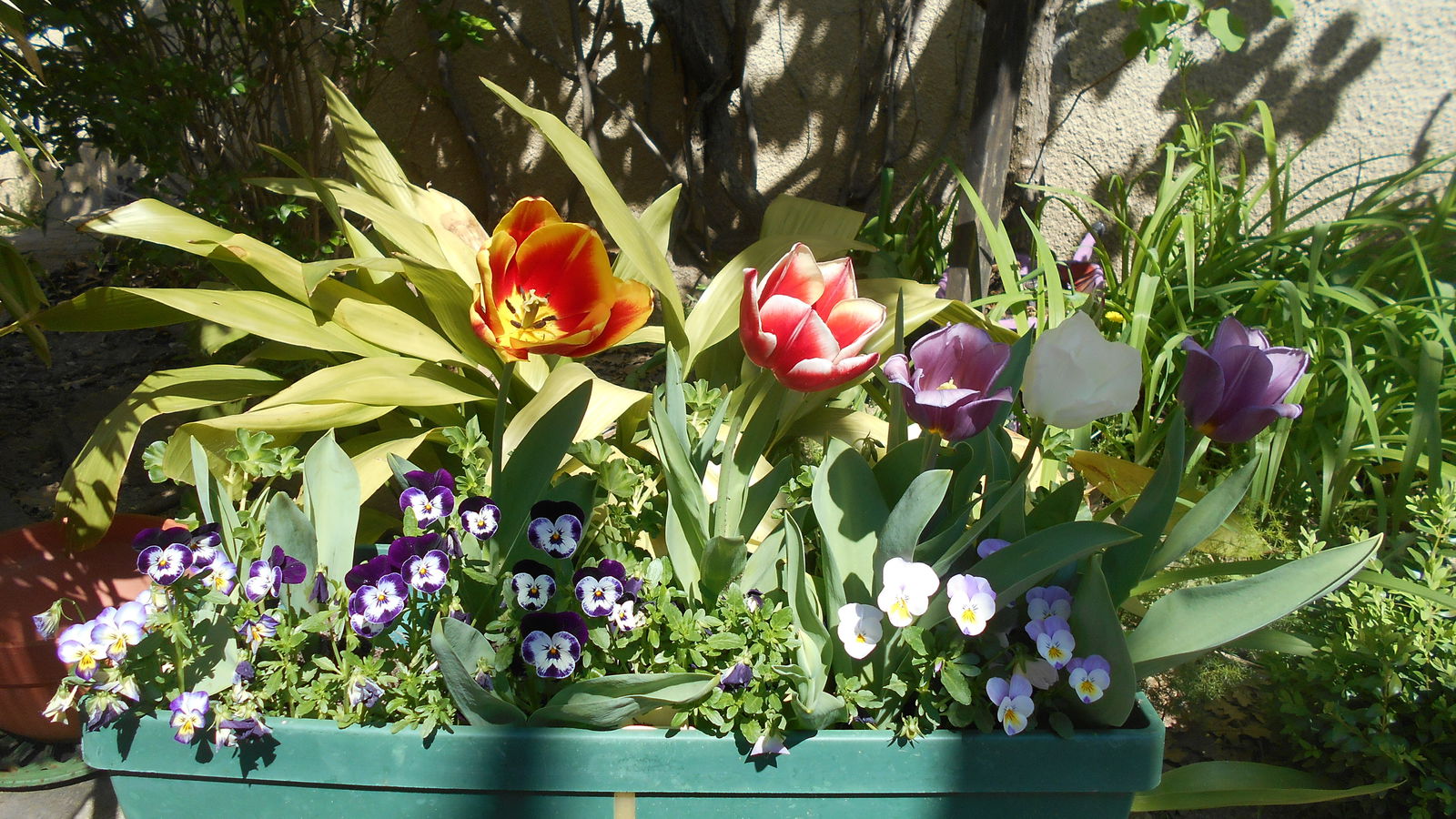 Chambres D'hôtes Donzère 108311