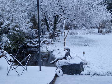 Shared Accommodation Incourt 161263-5