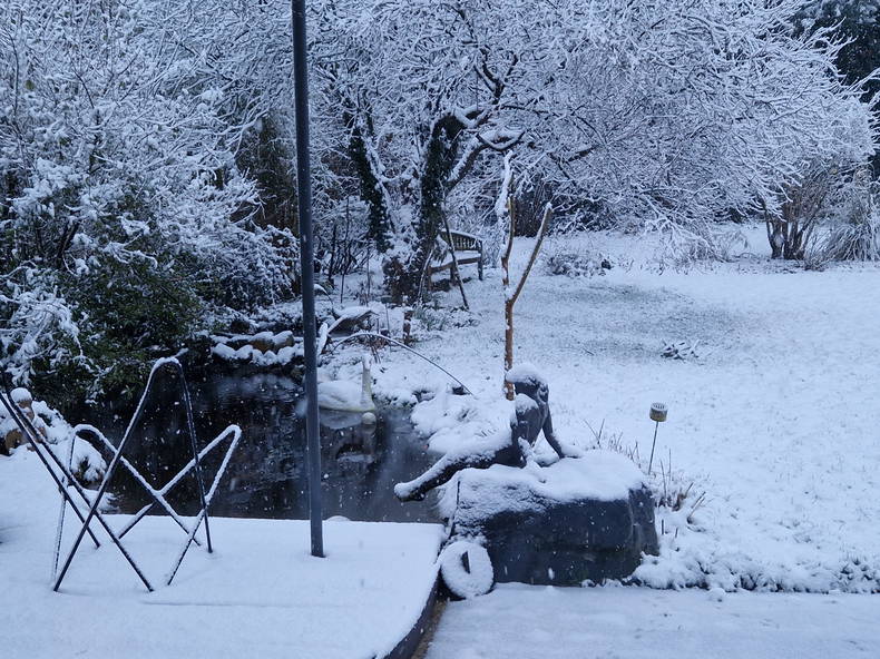 Colocation Incourt 161263-5