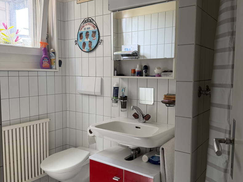 Chambre Chez L'habitant Genève 665936-5