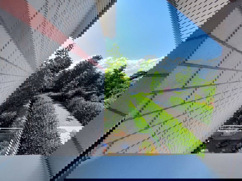 Kolokasie Renens 336888-4