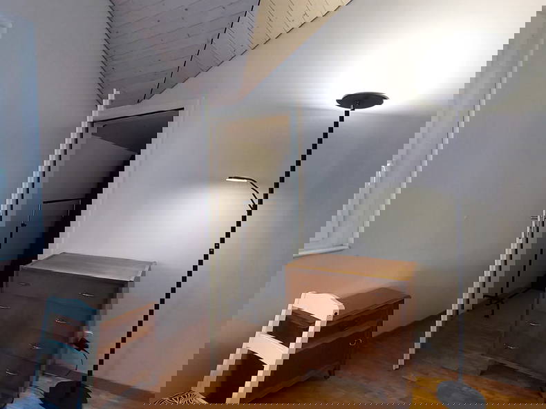 Kolokasie Renens 336888-3