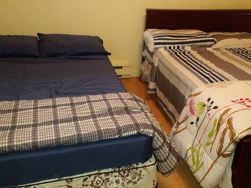 Coliving à louer à Stanstead - photo 1 : chambre-1