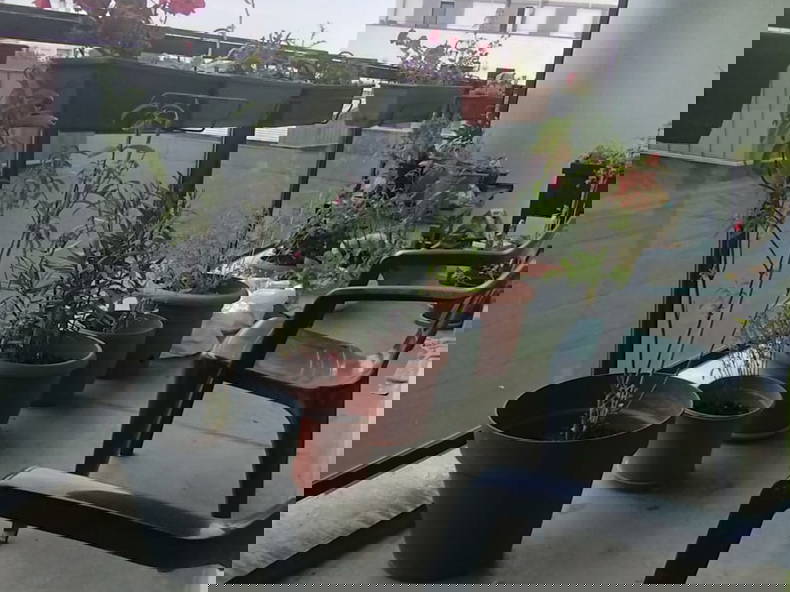 Chambre Chez L'habitant Saint-Jacques-de-la-Lande 430830-4