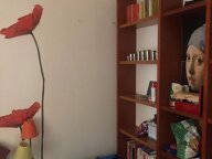 Homestay Genève 471909-3