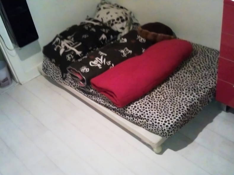 Gastfamilie Le Pecq 63582-2