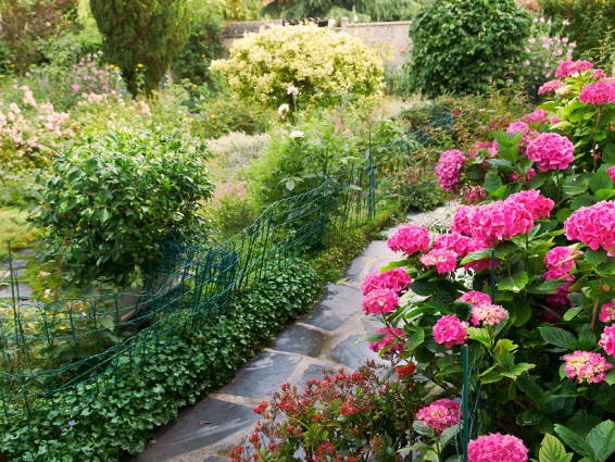 Gastfamilie Le Pecq 63582-5