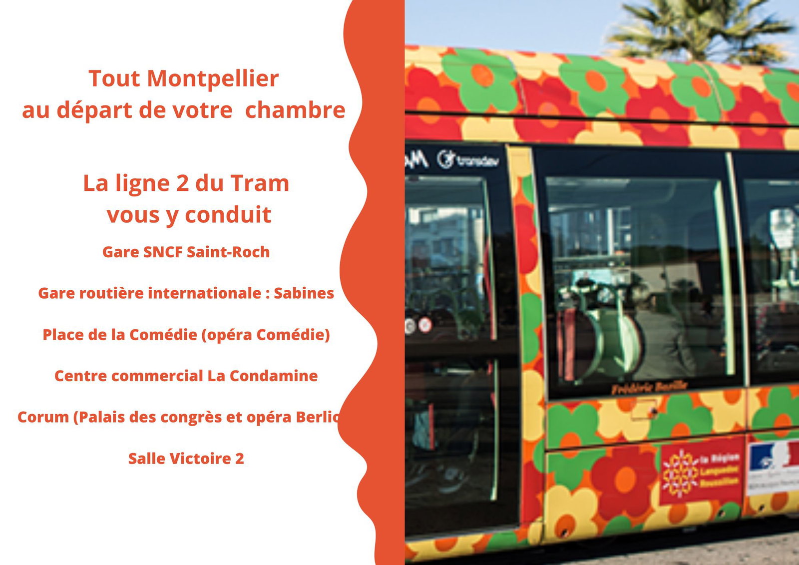 Chambre Chez L'habitant Montpellier 451123