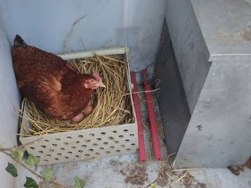 Chambre chez l'habitant à louer à Houilles - photo 13 : autre pièce-13