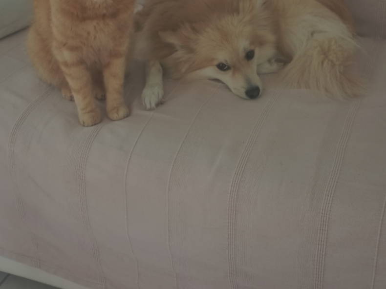 Chambre Chez L'habitant Rousset 273799-5