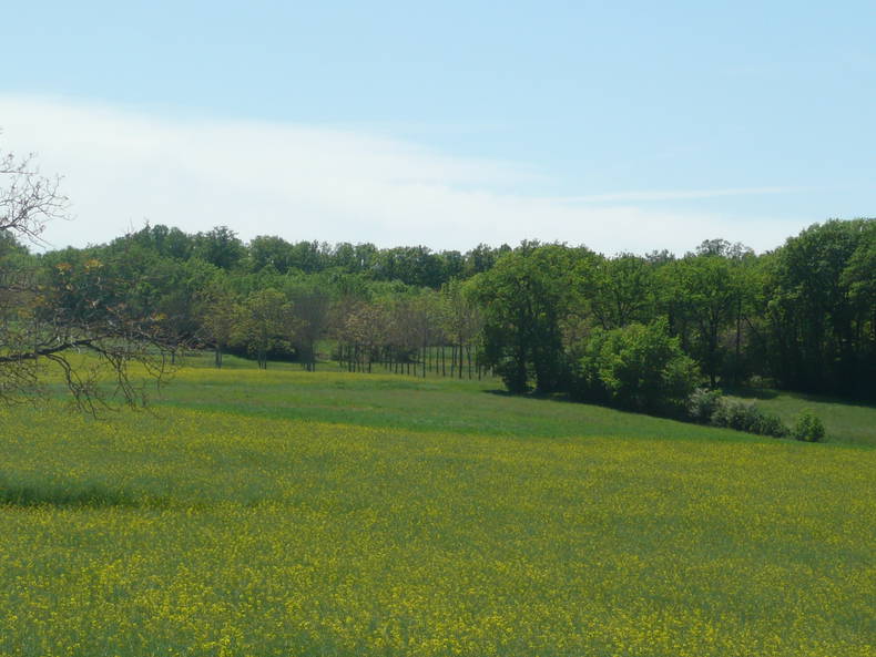 Quedarse En Casa Nabirat 46234-5