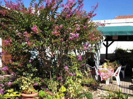 Gästezimmer Mimizan 94750-3