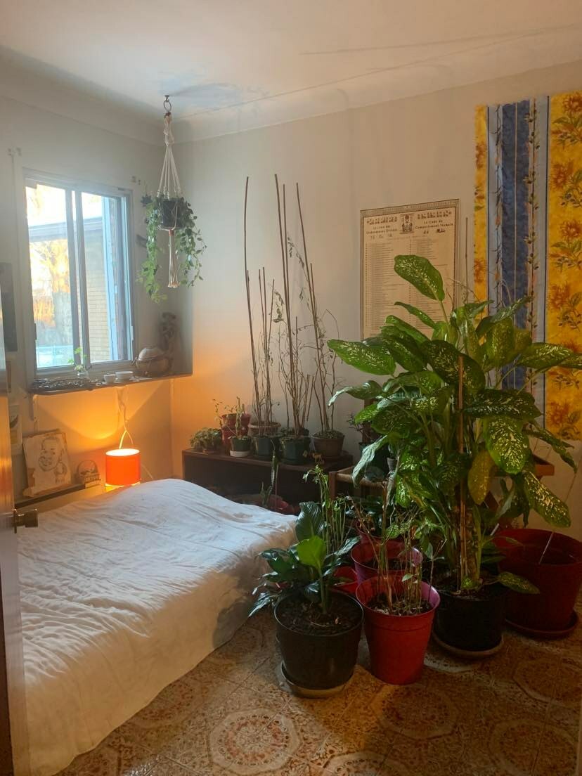 Chambre Chez L'habitant Montréal 254869