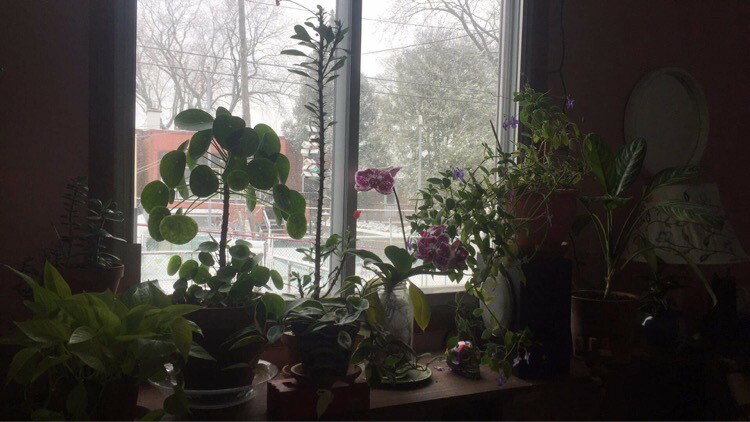 Chambre Chez L'habitant Montréal 254869